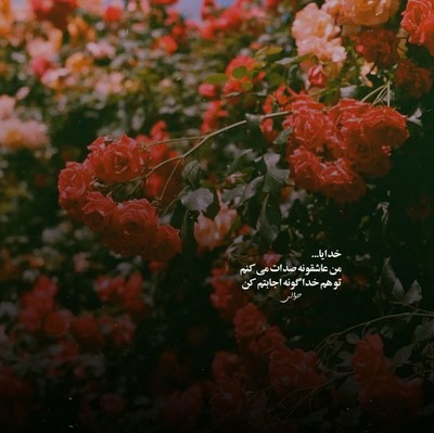 محسن لرستانی یه قاب عکس خالی یه چندتا یادگاری